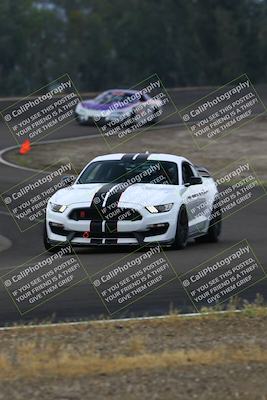 media/Apr-27-2025-Speed Ventures (Sun) [[00d8e719cd]]/Red Group/Session 1 (Turn 3)/